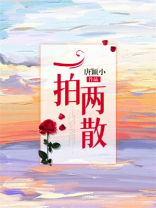 一拍两散免费阅读