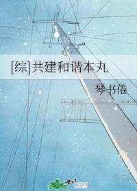 共建和谐本丸 百度网盘