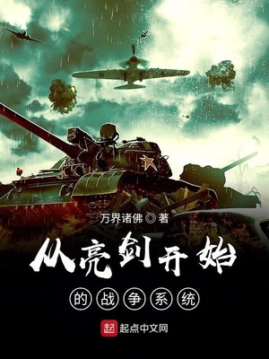 从亮剑开始崛起 小说