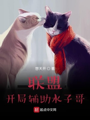 联盟开局辅助水子哥TXT下载免费