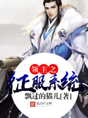 征服领主下载