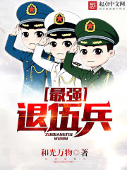 最强退伍兵王叶凌天