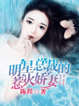 总裁明星隐婚小说