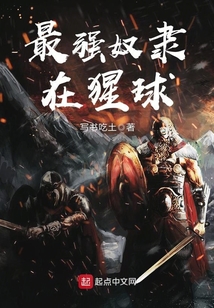 最强英雄奴隶攻略