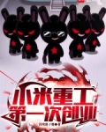 小米重工,第一次创业!
