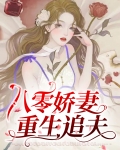 八零娇妻重生追夫