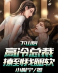 下山后,高冷总裁撩到我腿软