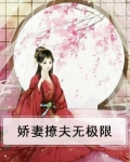 娇妻撩夫无极限
