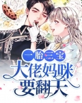 一胎三宝,大佬妈咪要翻天
