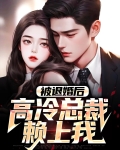 被退婚后,高冷总裁赖上我