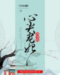 锦绣清宫:四爷的心尖宠妃