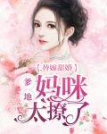 替嫁甜婚:爹地,妈咪太撩了