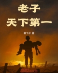 老子天下第一！