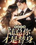 带崽出逃:陆总你才是替身