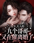 厉少,夫人的九个哥哥又在催离婚了