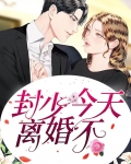 封少,今天离婚不