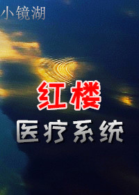红楼医疗系统