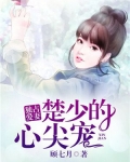 独占爱妻：楚少的心尖宠