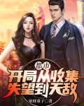 都市:开局从收集失望到无敌