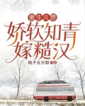 重生八零娇软知青嫁糙汉