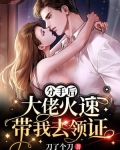 分手后,大佬火速带我去领证