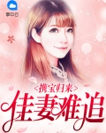 携宝归来:佳妻难追