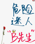 [19世纪]危险迷人“B先生”