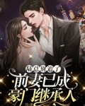 陆总别追了,前妻已成豪门继承人