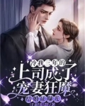 结婚证曝光,冷我三年的上司成了宠妻狂魔