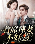 首席辣妻不好惹