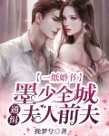 一纸婚书：墨少全城通缉夫人前夫