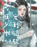 新婚夜,我被少帅宠到腿软