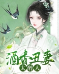 酒香丑妻太醉人