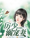 错位姻缘:厉少溺宠妻