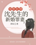 蚀骨危情:沈先生的新婚罪妻