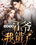 闪婚后,财阀老公又宠又撩!