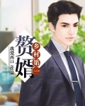 乡村第一赘婿