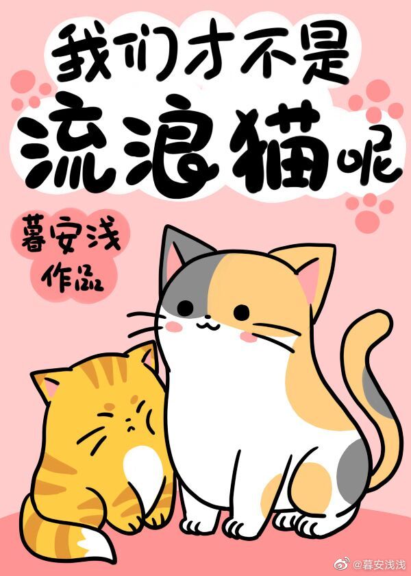 我们才不是流浪猫呢!