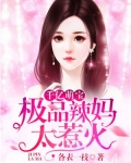 千亿萌宝,极品辣妈太惹火