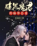 腹黑魔君的仙界怂妻