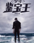少年鉴宝王