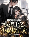 与渣男退婚后,我把千亿小叔撩上天