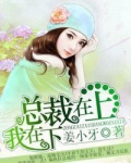 总裁在上我在下
