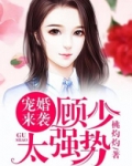 宠婚来袭:顾少,太强势!