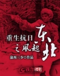 重生抗日之风起东北