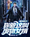 佣兵百万,你管这叫废物女婿?