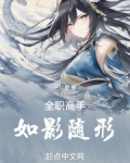 全职高手:如影随形