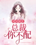 错情婚恋:总裁你不配