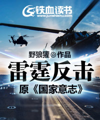  雷霆反击（原《国家意志》）