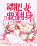 重生七零:肥妻要翻身